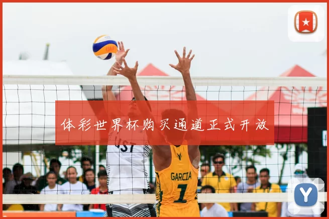 体彩世界杯购买通道正式开放