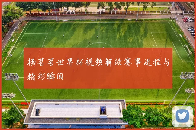 杨茗茗世界杯视频解读赛事进程与精彩瞬间