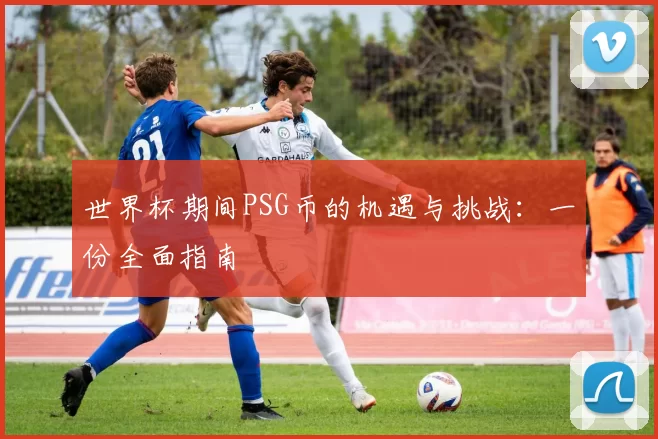 世界杯期间PSG币的机遇与挑战:一份全面指南