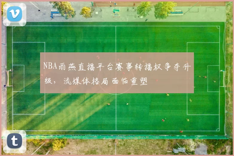 NBA雨燕直播平台赛事转播权争夺升级，流媒体格局面临重塑