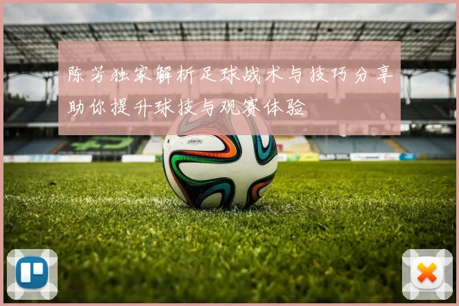 陈芳独家解析足球战术与技巧分享助你提升球技与观赛体验