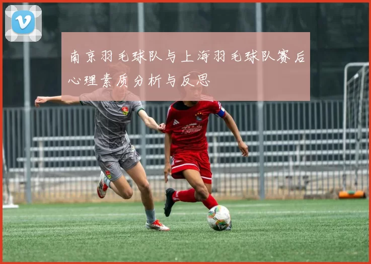 南京羽毛球队与上海羽毛球队赛后心理素质分析与反思
