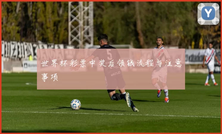 世界杯彩票中奖后领钱流程与注意事项