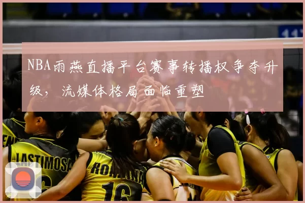 NBA雨燕直播平台赛事转播权争夺升级,流媒体格局面临重塑
