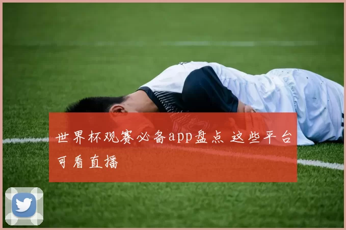 世界杯观赛必备app盘点 这些平台可看直播