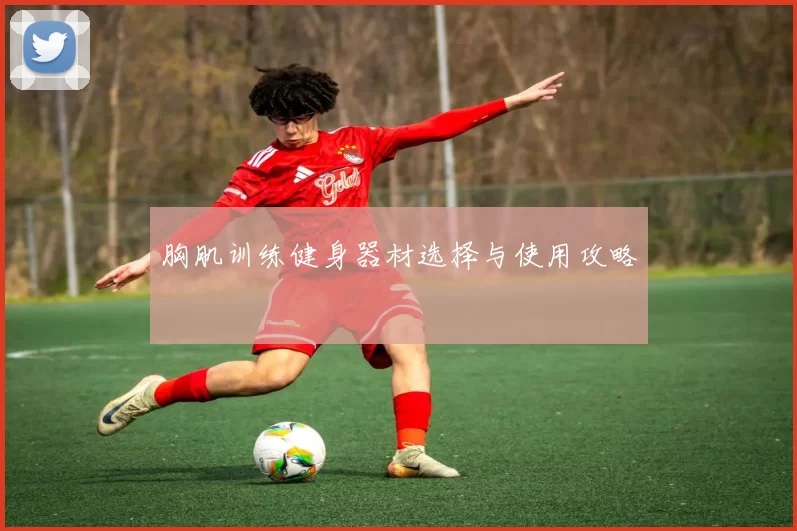 胸肌训练健身器材选择与使用攻略